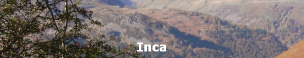 Inca